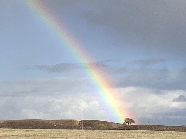 Cloudy skies expected to give way to sunshine for Paso Robles