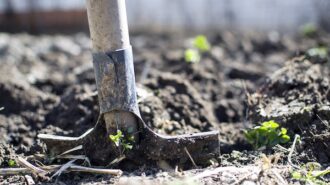 County will start ag industry vaccines with farmworker-targeted pilot project mid-March