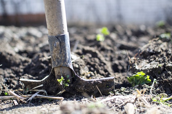 County will start ag industry vaccines with farmworker-targeted pilot project mid-March