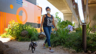 Feb. 22 is 'National Walking Your Dog Day'