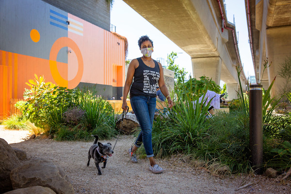 Feb. 22 is 'National Walking Your Dog Day'