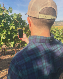 Tule Vision In Field Reading