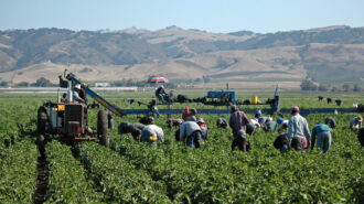 ag labor farm workers covid-19 vaccine