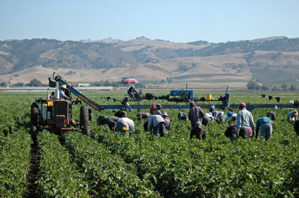 ag labor farm workers covid-19 vaccine