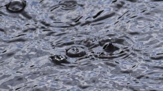 Season rainfall total for Paso Robles at 7.37 inches