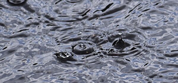 Season rainfall total for Paso Robles at 7.37 inches