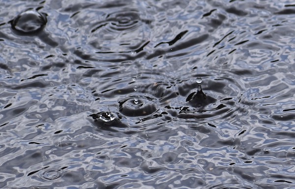 Season rainfall total for Paso Robles at 7.37 inches