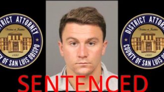 sex offender copy