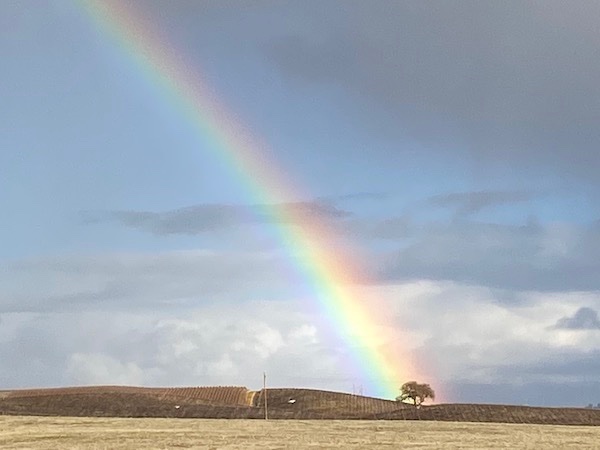 paso robles rain, rainbow over paso robles March 2021 - SDB