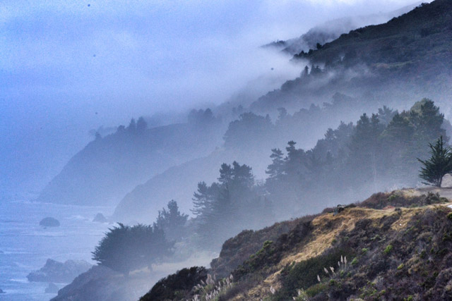 Dark Watchers in Big Sur