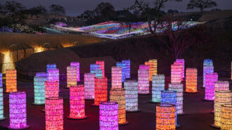 Sensorio exhibit gives back paso robles