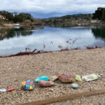 Rock Snake winds its way around lake and captivates community