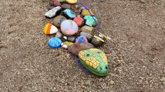 rock snake at atascadero lake