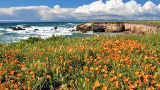 Warmer temperatures expected to start off the week for Paso Robles