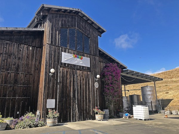 Green Anemone in Cayucos Tidepool
