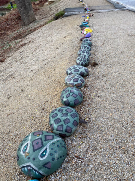 Rock Snake winds its way around lake and captivates community