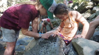 Camp Natoma permitted for summer 2021, registration now open