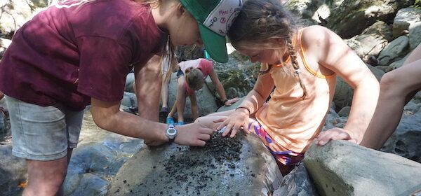 Camp Natoma permitted for summer 2021, registration now open