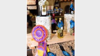 Central Coast Olive Oil Competition announces winners
