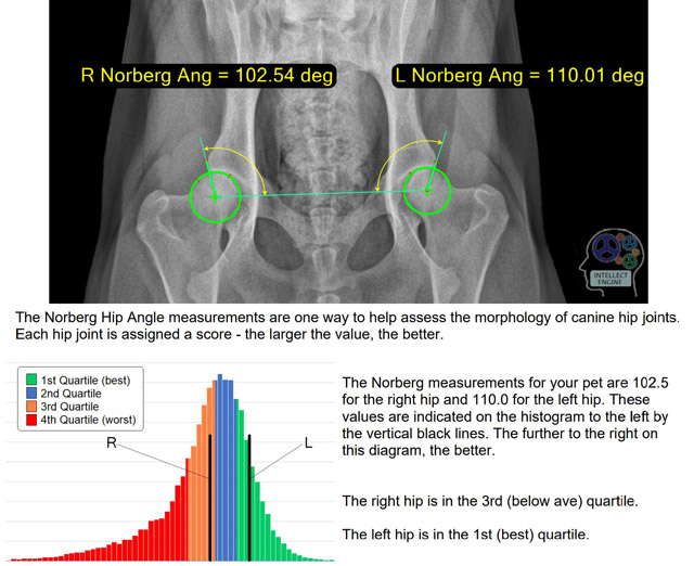 Hiring software engineers in Paso Robles