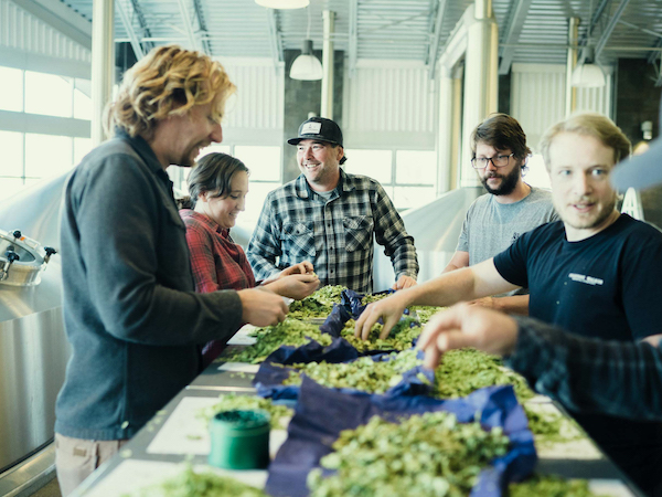 Firestone Walker's new Luponic Distortion uses New-Zealand grown hops