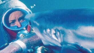 Central Coast State Parks Association to present, 'Playing With Sharks'