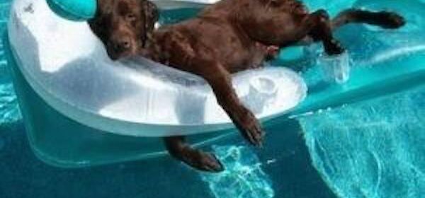 City shares summer pool care tips