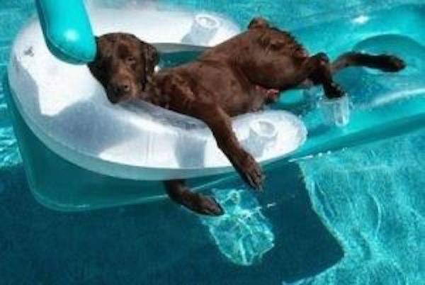 City shares summer pool care tips