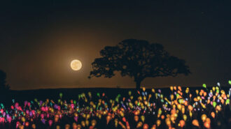 Supermoon paso robles