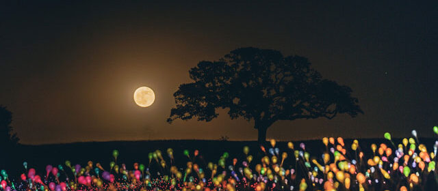 Supermoon paso robles