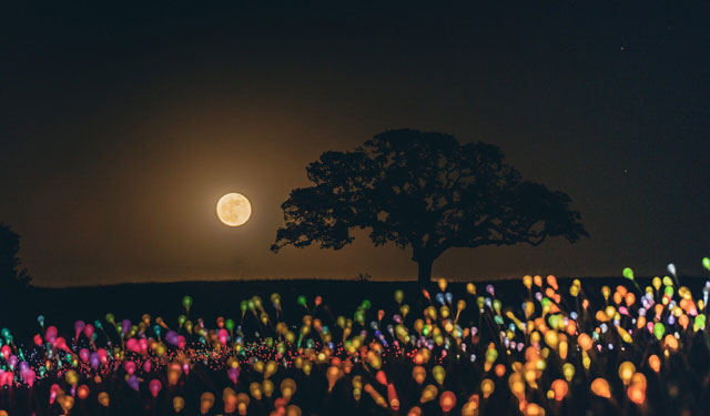 Supermoon paso robles