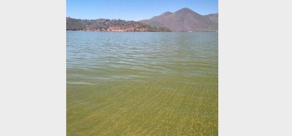 State officials warn recreational water users to watch for dangerous algae