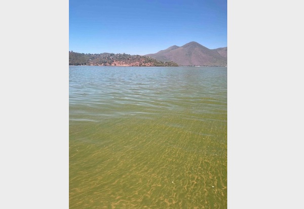 State officials warn recreational water users to watch for dangerous algae