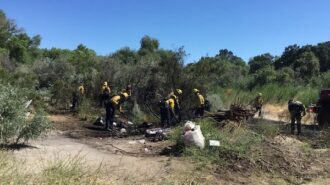 Firefighters extinguish riverbed fire Sunday afternoon in Paso Robles