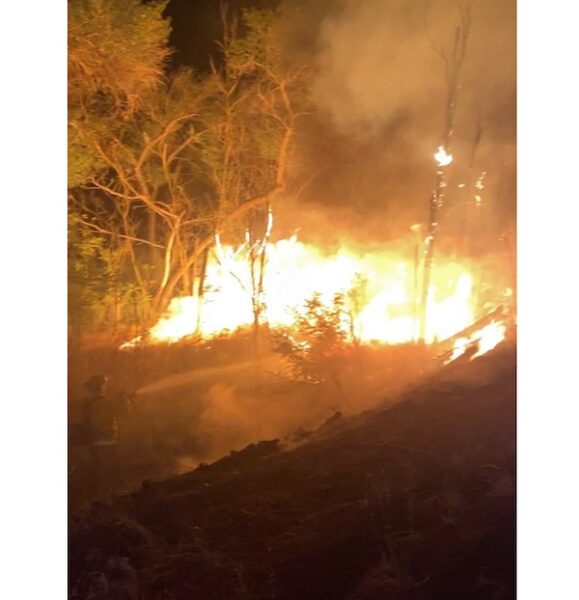 Vegetation fire contained in Salinas Riverbed Wednesday night