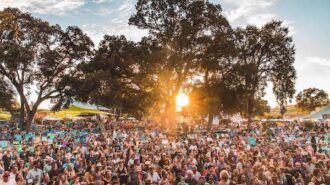 Whale Rock lineup announced for 2021