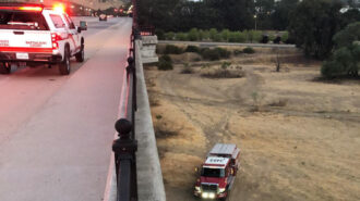 Fire-in-riverbed