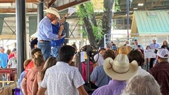 Industrial arts auction