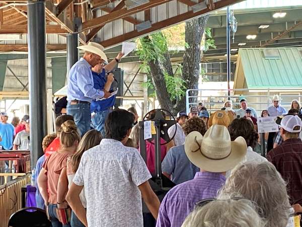 Industrial arts auction