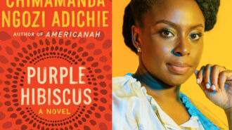 Library book group wraps up summer reading program in Africa
