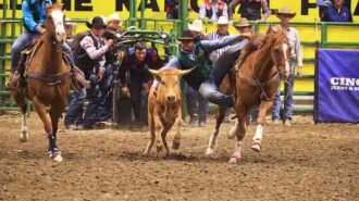 –Eleven members of Cal Poly’s Rodeo Team qualified to compete in the 72nd annual College National Finals Rodeo held June 11-19 in Casper, Wyoming, where one student-athlete came away with a second-place win: Grant Peterson, a second-year agricultural systems management major, placed second in the steer wrestling event.