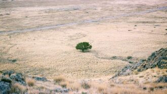 drought california