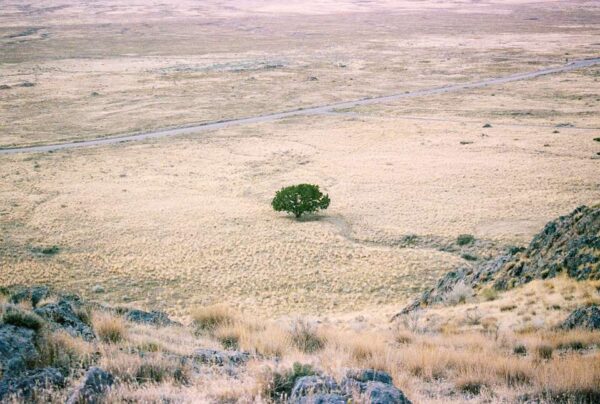 drought california