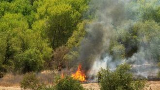 fire in riverbed 3