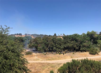 fire paso robles 2