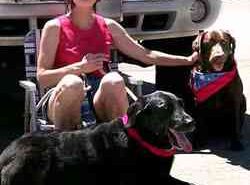 Beginning dog training offered at Centennial Park