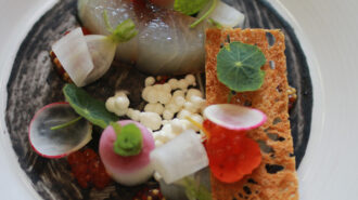 Michelin-star-restaurants-in-Paso-Robles