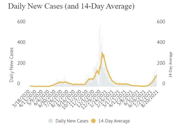 daily new cases