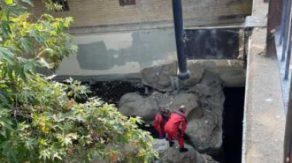 dead man found in creek