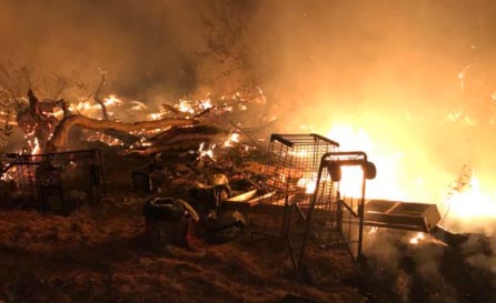 fire in riverbed